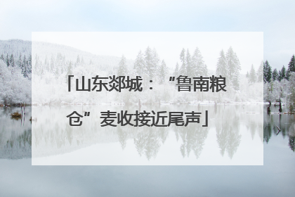 山东郯城：“鲁南粮仓”麦收接近尾声
